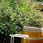 Logis Du Relais - & Restaurant 3* Berenx