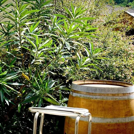 Logis Du Relais Berenx