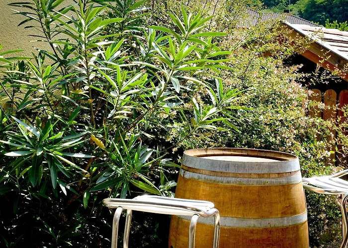 Logis Du Relais - & Restaurant 3* Berenx